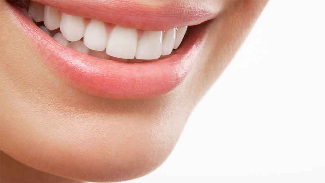 Periodontia